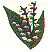 fl0124.gif