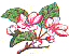 fl0174.gif