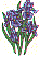 fl0177.gif