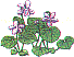 fl0197.gif