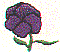 fl0204.gif
