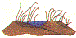 fl0247.gif