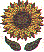 fl0268.gif