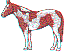 hr0119.gif