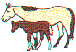 hr0120.gif