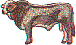 hr0137.gif