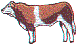 hr0144.gif