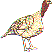 hr0149.gif