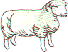 hr0163.gif
