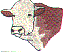 hr0290.gif