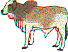 hr0292.gif