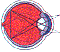 lg0565.gif