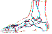 lg0571.gif