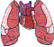 lg0573.gif
