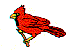 ma0043.gif