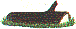 mi0333.gif