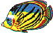 mi0419.gif
