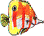 mi0421.gif
