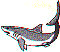 mi0429.gif