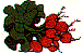 mi0726.gif