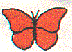 mi0811.gif
