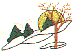 mi0911.gif