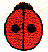 mi1274.gif