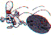 sp0205.gif