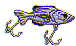 sp0544.gif