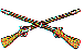 sr0101.gif