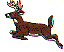 wl0123.gif