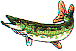 wl0126.gif