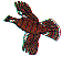 wl0137.gif