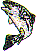 wl0149.gif
