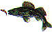wl0166.gif