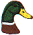wl0201.gif