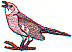 wl0219.gif