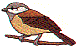 wl0222.gif