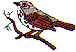 wl0225.gif