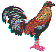 wl0231.gif