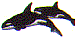 wl0249.gif