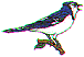 wl0265.gif