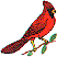 wl0266.gif