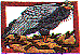 wl0319.gif