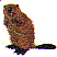 wl0335.gif