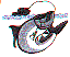 wl0341.gif