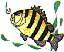 wl0346.gif