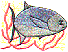 wl0349.gif