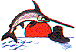 wl0351.gif