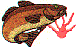 wl0354.gif